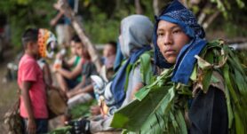 COMUNIDADES INDÍGENAS ESTÁN SALVANDO EL MUNDO