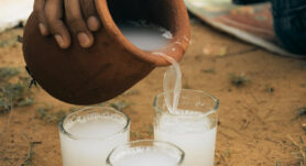 El vino de Coyol es una bebida tradicional de Guanacaste pero que se prepara desde tiempos ancestrales. Conozca más sobre esta tradición.