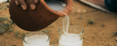El vino de Coyol es una bebida tradicional de Guanacaste pero que se prepara desde tiempos ancestrales. Conozca más sobre esta tradición.