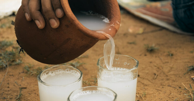 El vino de Coyol es una bebida tradicional de Guanacaste pero que se prepara desde tiempos ancestrales. Conozca más sobre esta tradición.