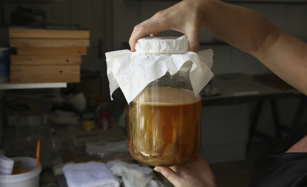 kombucha