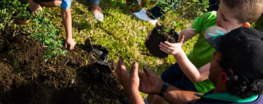 Curridabat, Costa Rica bajo su proyecto “Ciudad dulce” ha otorgado la ciudadanía costarricense a sus polinizadores.