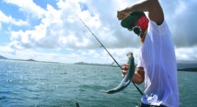La pesca deportiva es una actividad muy popular en Costa Rica. Conozca las especies que puede encontrar en sus mares y lagos.