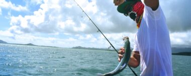 La pesca deportiva es una actividad muy popular en Costa Rica. Conozca las especies que puede encontrar en sus mares y lagos.