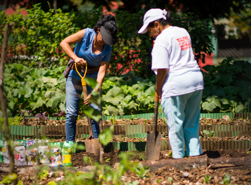 Curridabat, au Costa Rica, dans le cadre de son projet "Ciudad dulce", a accordé la citoyenneté costaricienne à ses pollinisateurs. 