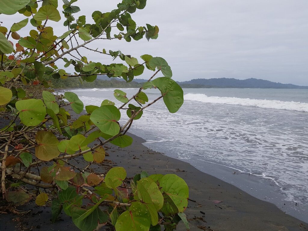 Playas de Cahuita