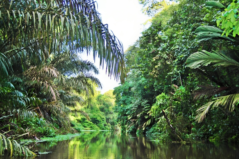 Si vous souhaitez vous éloigner de la ville pendant les vacances, voici quelques-uns des meilleurs terrains de camping du Costa Rica. 