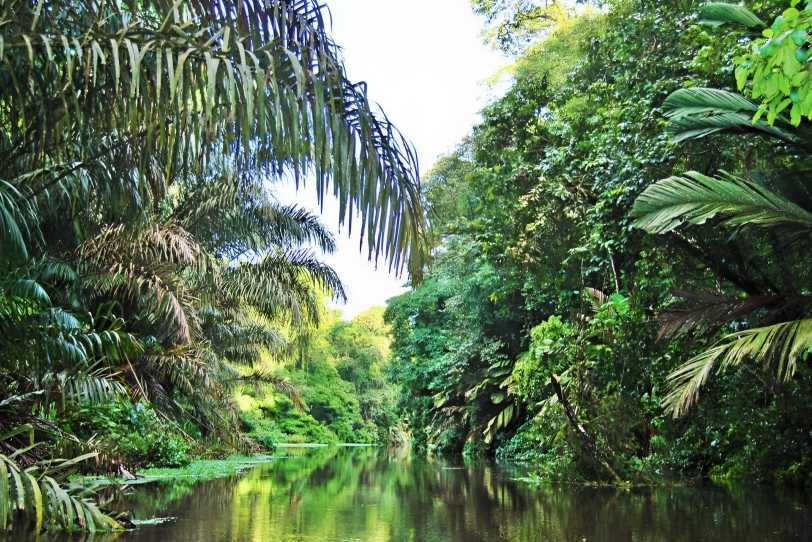 Si en estas vacaciones desea darse un respiro de la ciudad, aquí le dejamos algunos de las mejores zonas de camping en Costa Rica. 