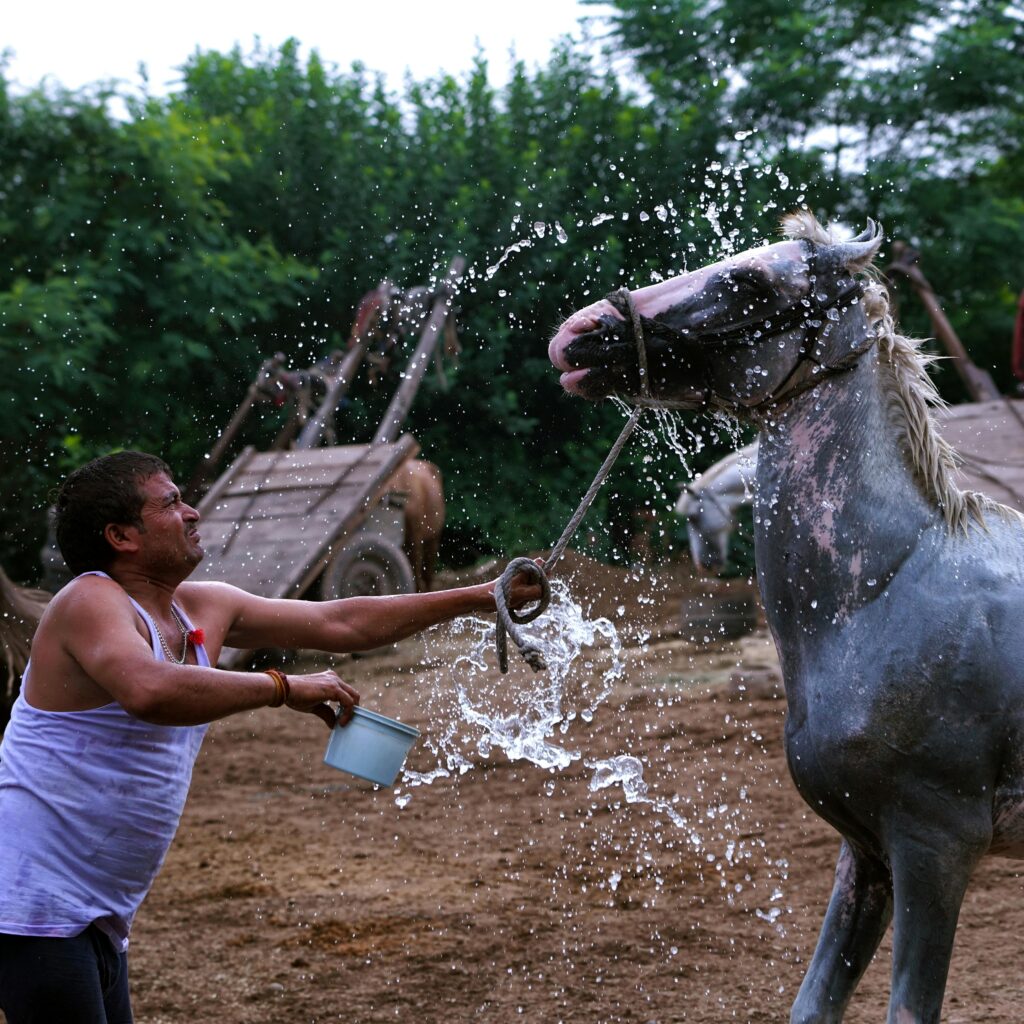 Qualité de l'eau 