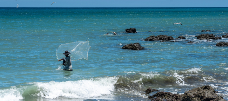 Conozca Caminos de Osa, la iniciativa que busca consolidar un destino de turismo sostenible en Costa Rica a partir de emprendimientos locales.