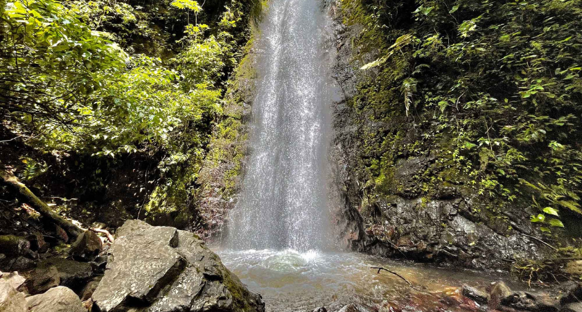 Looking to relax outside the city? Cariblanco Mountains await you for an excursion just 15 minutes from downtown Santa Ana.