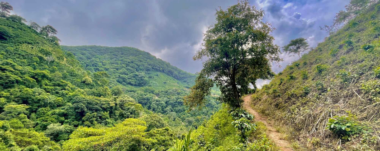 ¿Desea relajarse fuera de la ciudad? Montañas de Cariblanco lo esperan para una excursión a tan solo 15 minutos del centro de Santa Ana.