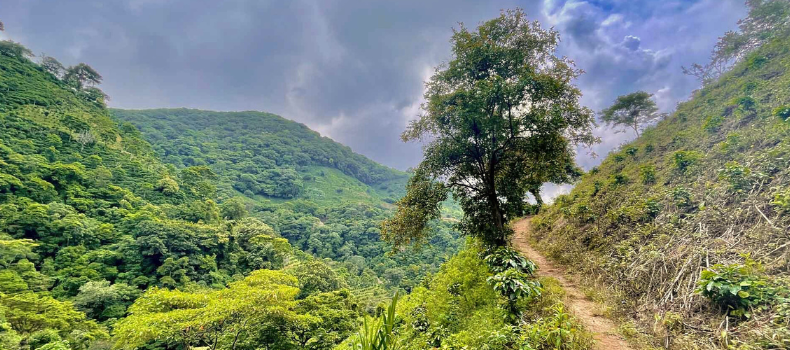 ¿Desea relajarse fuera de la ciudad? Montañas de Cariblanco lo esperan para una excursión a tan solo 15 minutos del centro de Santa Ana.