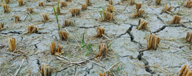 Explora el impacto global de El Niño, sus causas, consecuencias y efectos severos en Centroamérica, especialmente en el Corredor Seco.
