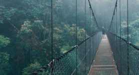 Adéntrate en la exuberante selva tropical de Costa Rica en el Parque Místico. Descubre puentes colgantes y la biodiversidad única.