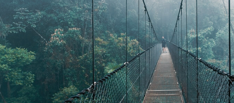 Adéntrate en la exuberante selva tropical de Costa Rica en el Parque Místico. Descubre puentes colgantes y la biodiversidad única.