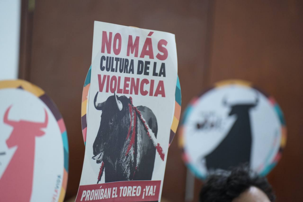Corridas de Toros y Topes en Costa Rica