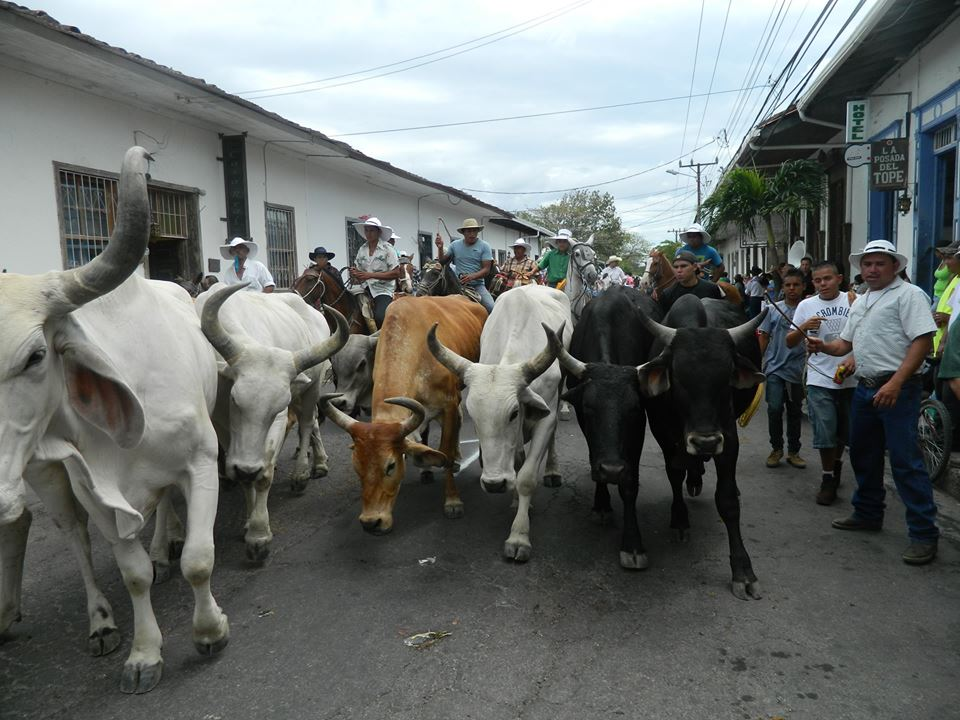 Corridas de Toros y Topes en Costa Rica.