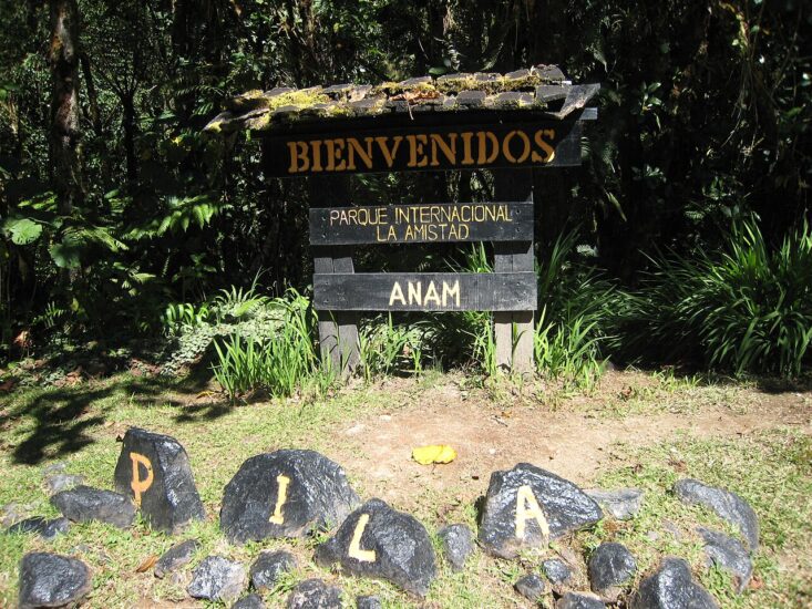 Bird watching in Costa Rica