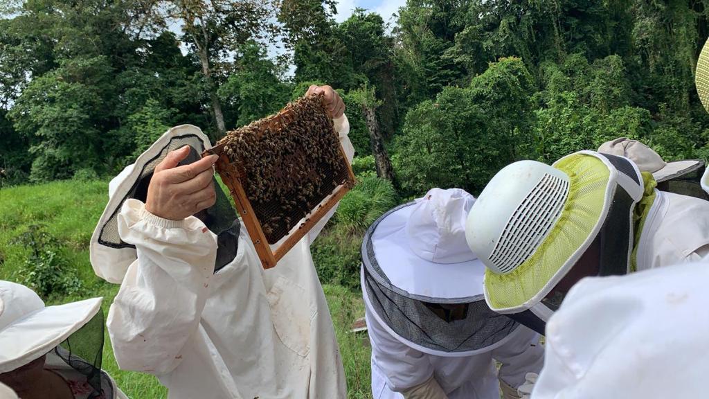 Bee Lab