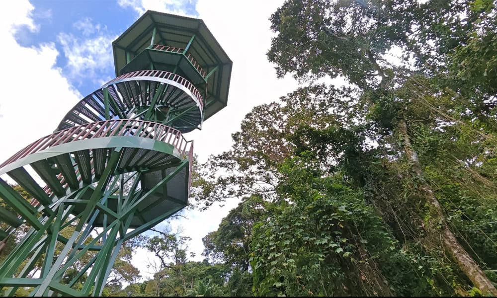 Bird watching in Costa Rica