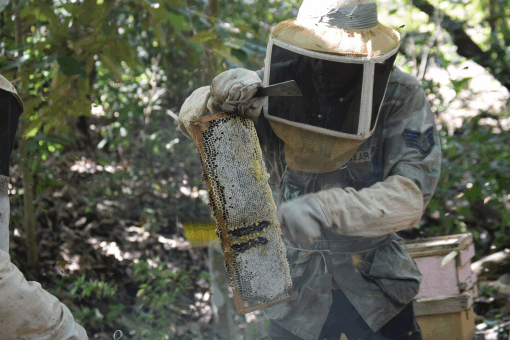 Bee Lab