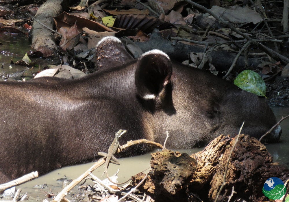 Tourism in Costa Rica