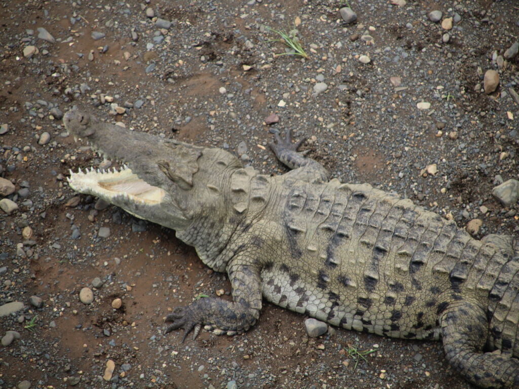 Tours únicos en Costa Rica