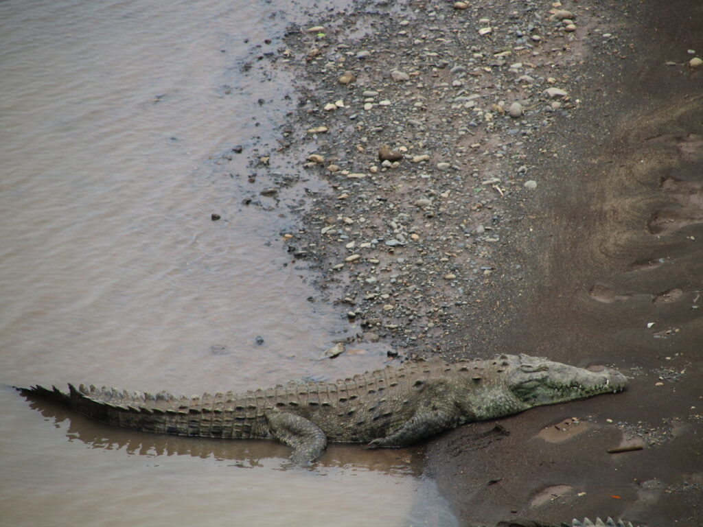 Tours únicos en Costa Rica