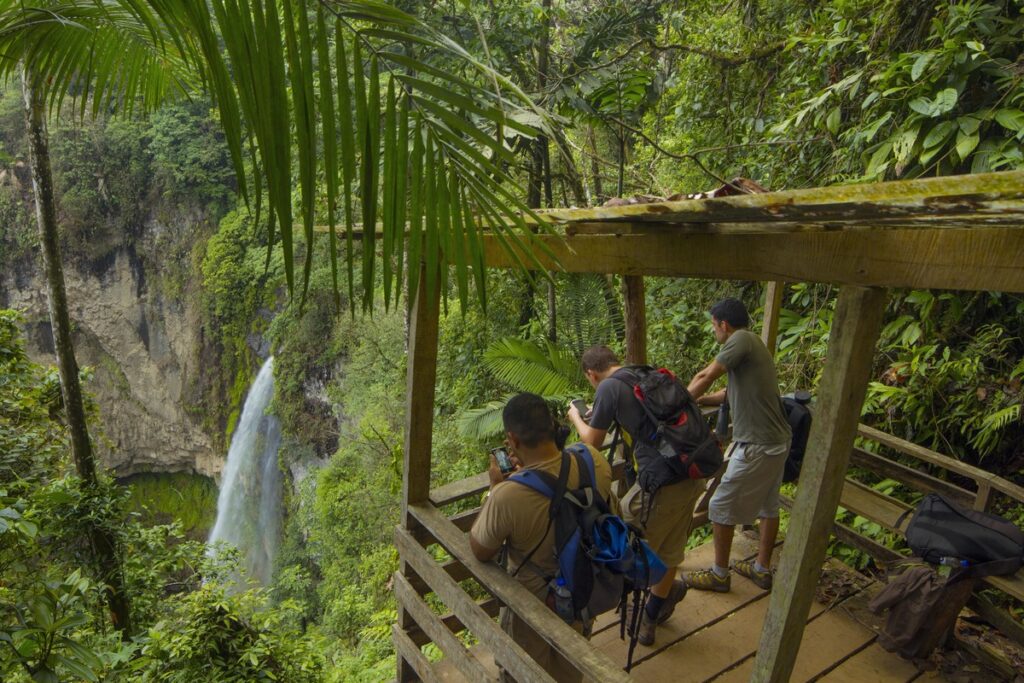 Monteverde : les forêts nuageuses caractéristiques