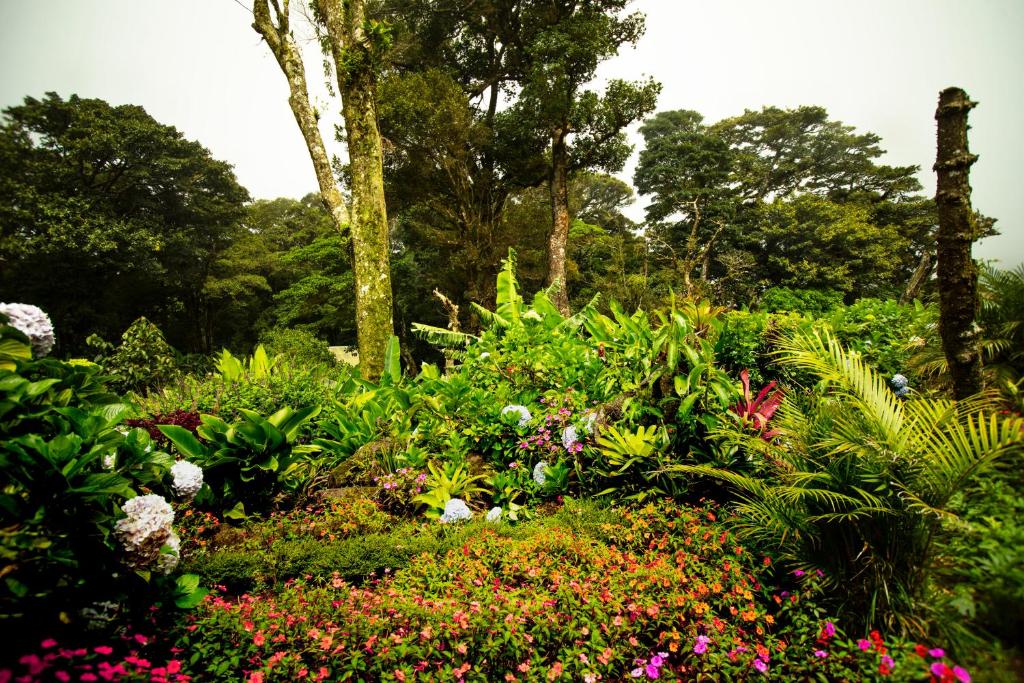 Hotel Trapp Family Monteverde
