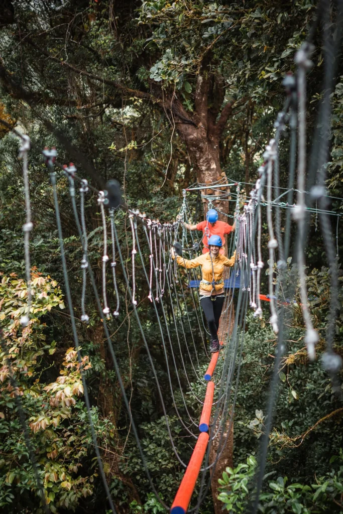 Treetopia Park : dans la forêt nuageuse de Monteverde