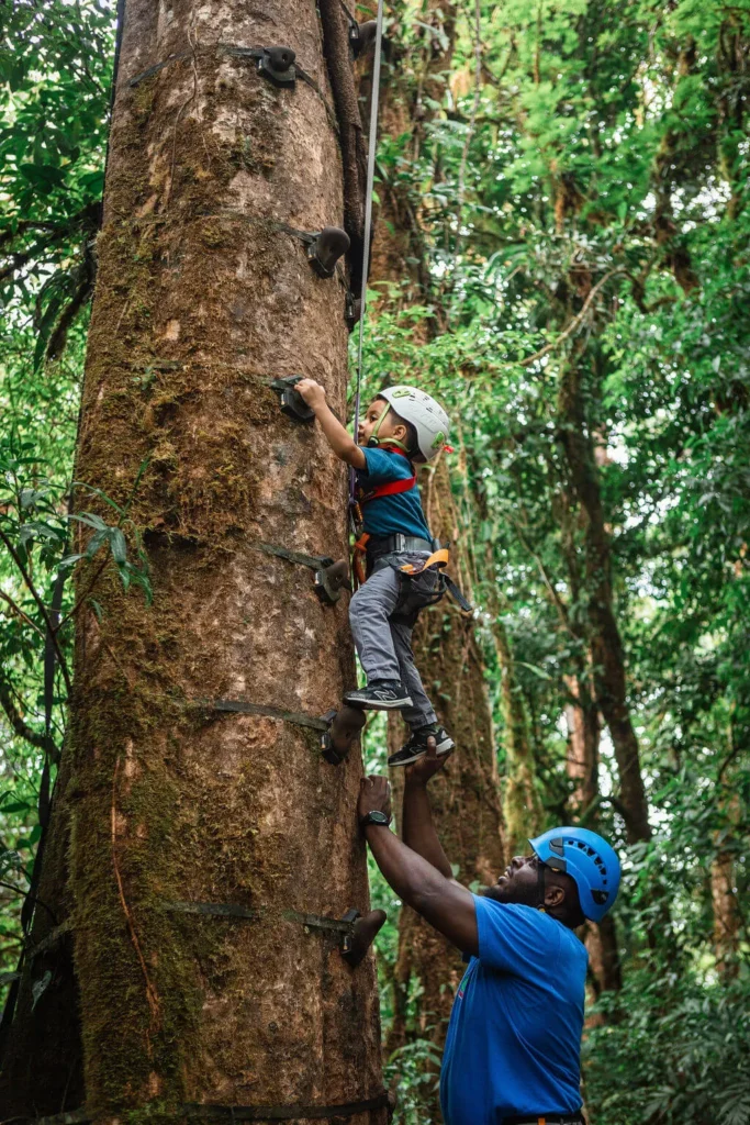 Treetopia Park : dans la forêt nuageuse de Monteverde