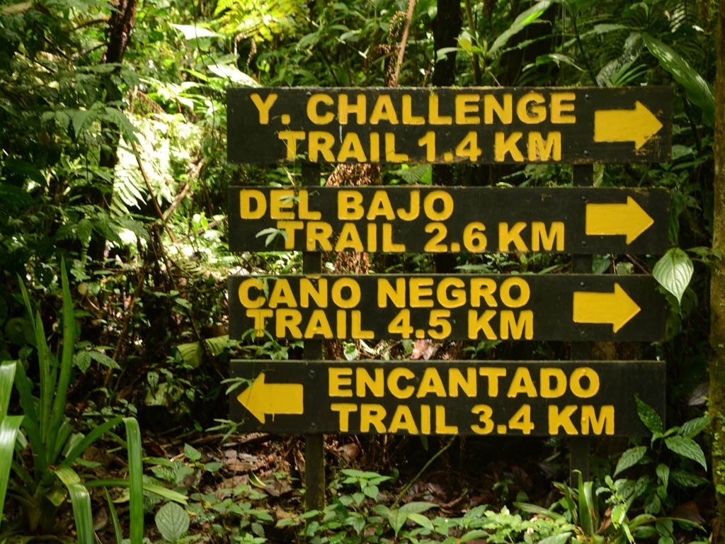 Monteverde : les forêts nuageuses caractéristiques