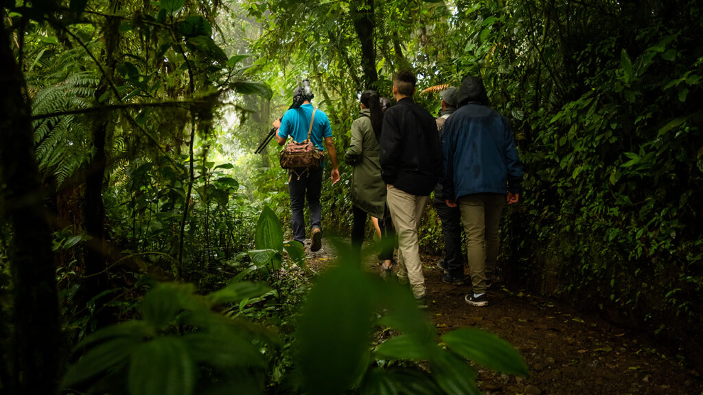 Monteverde : les forêts nuageuses caractéristiques