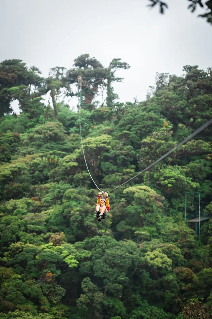 Treetopia Park : dans la forêt nuageuse de Monteverde