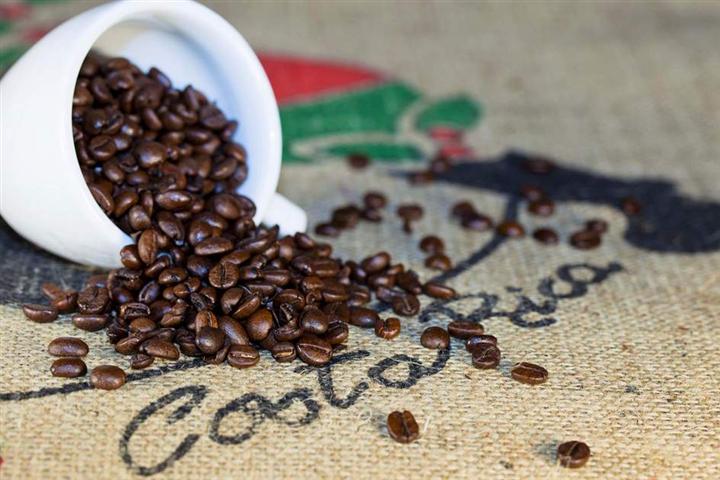 Historia del Café en Costa Rica