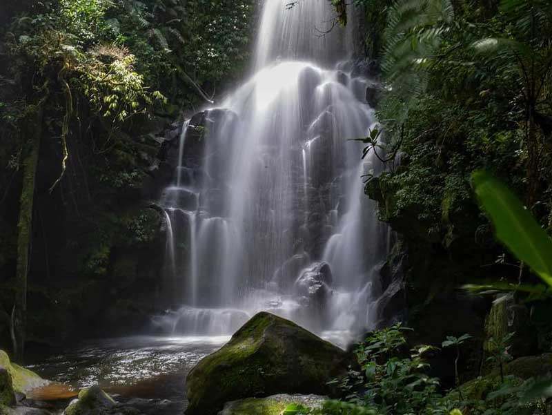 Refuge de vie sauvage Cerro Dantas