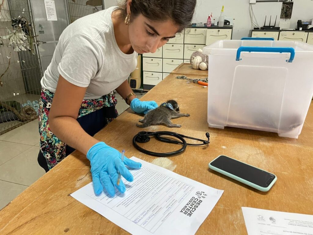 Volontariat au Costa Rica