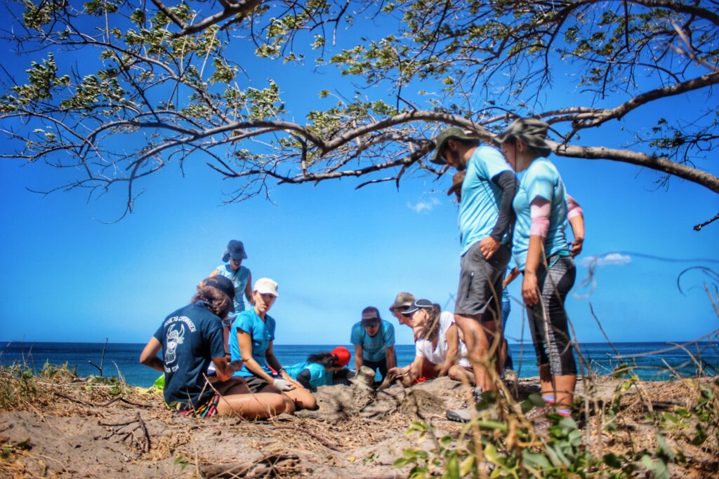 Volontariat au Costa Rica