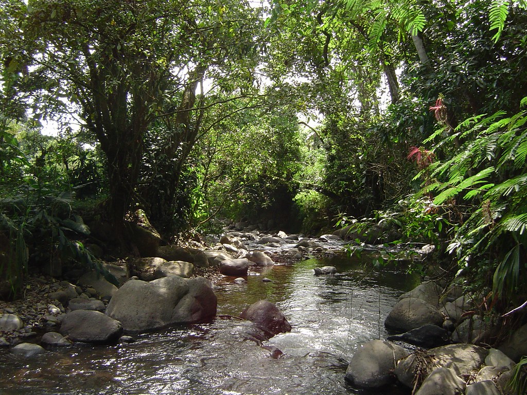 Jardín Else Kientzler