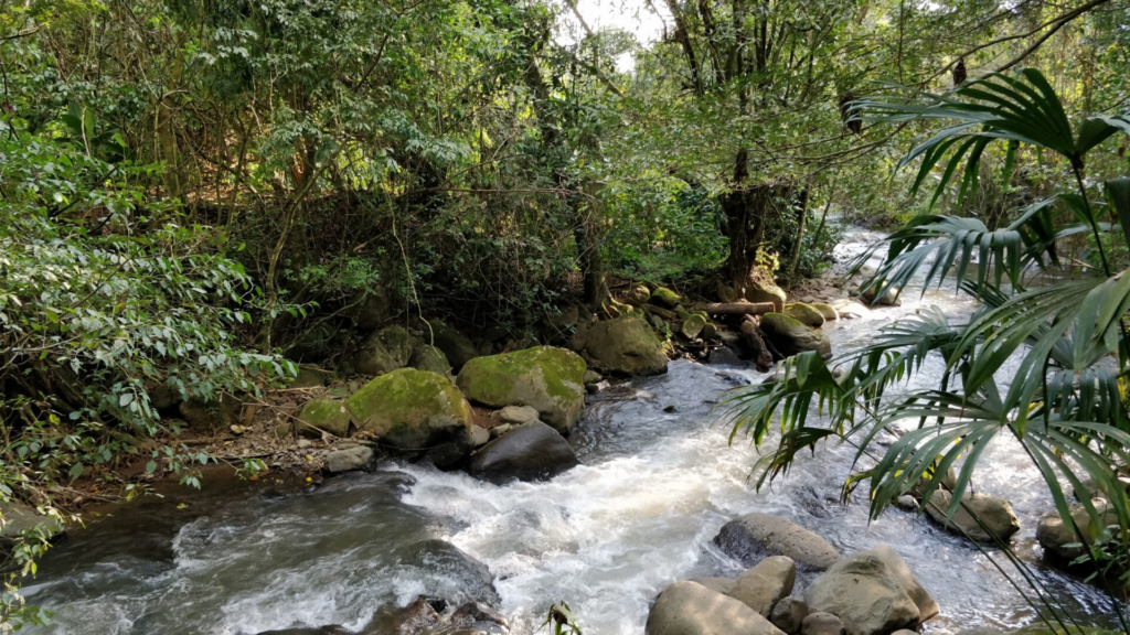 Jardín Else Kientzler