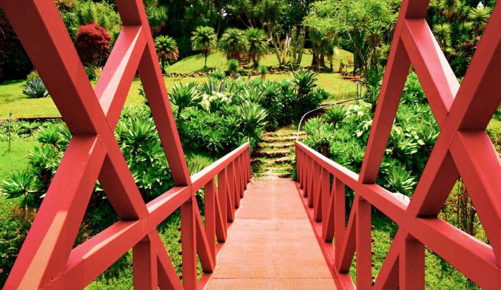 Jardín Else Kientzler