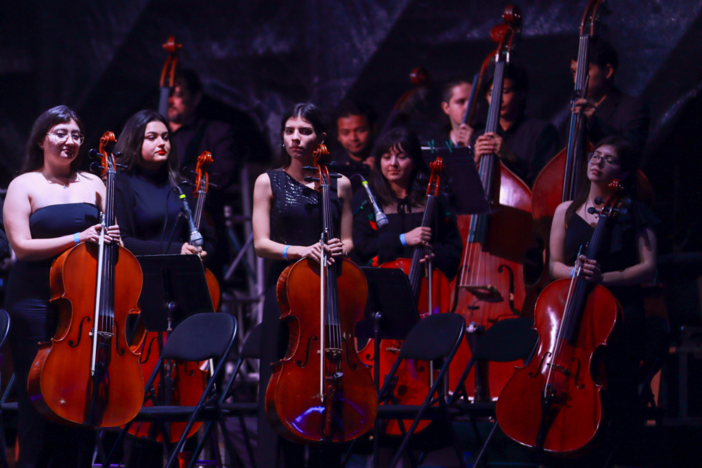 International Arts Festival (FIA)