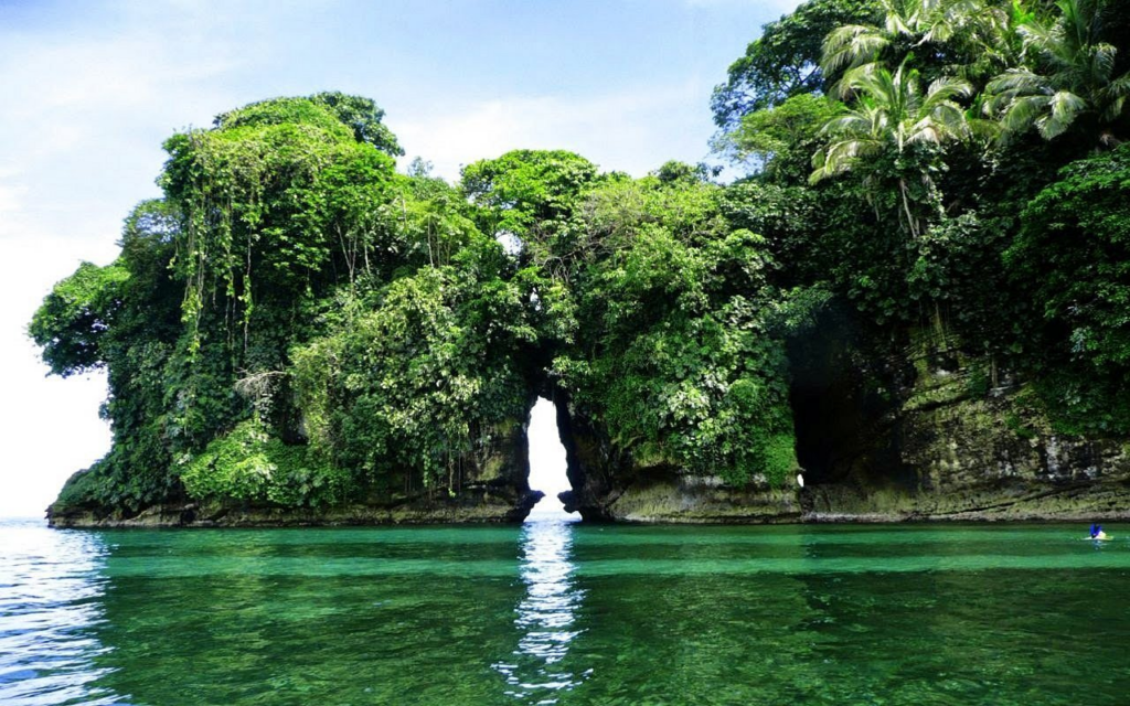 Isla Pájaros: santuario natural en el Golfo de Nicoya